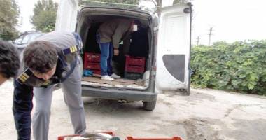 Stire din Eveniment : Scuza unui pescar…a găsit sacii plini cu pește