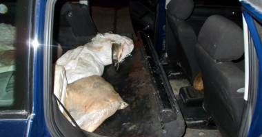 Sute de kilograme de pește, confiscate de ofițerii Gărzii de Coastă - 6