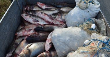 Aproximativ 900 kilograme de pește și plase de pescuit, confiscate de polițiștii de frontieră