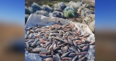 GALERIE FOTO. Cetățeni români prinși în timp ce pescuiau ilegal cu plase pe lacul Sinoe - 3