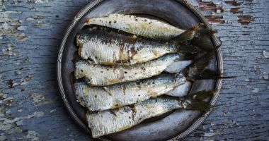 Peștele din Dunăre, extrem de periculos pentru sănătate! ”Pot apărea probleme neurologice, oncologice și intoxicații grave!”