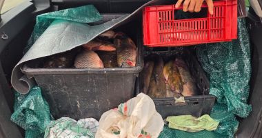 Stire din Eveniment : Captură ilegală de peste 100 kg de pește, depistată de jandarmii din Constanța