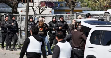 Stire din Actualitate : Peste 300 de presupuși membri ai Statului Islamic, arestați în Turcia