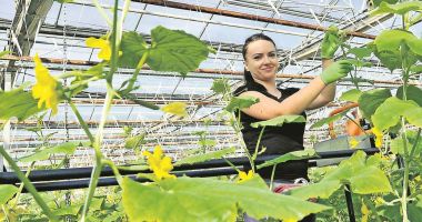 Stire din Economie : Peste 14.200 de fermieri vor sprijin pentru cultivarea legumelor în spaţii protejate