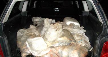 Sute de kilograme de pește, confiscate de ofițerii Gărzii de Coastă - 4