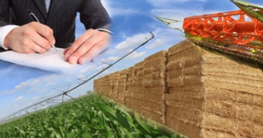 Stire din Politică-Administrație : Program prelungit pentru locuitorii din Cernavodă care vor să acceseze fonduri PNDR