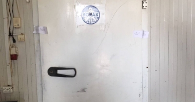 NE PROSTESC PE FAȚĂ! Șprot vândut drept hamsie, la Constanța! OPC descinde în zona industrială. Unul din furnizori a încercat să fugă cu o dubă plină de pește - VIDEO - 7