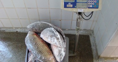 Stire din Eveniment : Aproape 180 kilograme pește, confiscate de polițiștii de frontieră