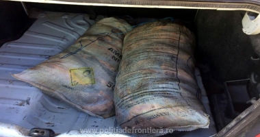 Peste 90 de kilograme de pește, confiscate de polițiștii de frontieră