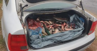 Stire din Eveniment : Dosar penal pentru braconaj piscicol