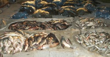 Stire din Eveniment : Doi bărbaţi prinşi când pescuiau ilegal. Aveau asupra lor 50 de kilograme de peşte de diferite specii