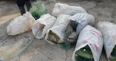 Pește fără documente legale și plase monofilament, confiscate de polițiștii de frontieră - 3