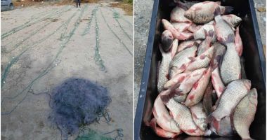 Pește fără documente legale și plase monofilament, confiscate de polițiștii de frontieră - 1