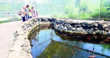 Stire din Social : Fontana di Trevi de la Delfinariul din Constanța. Viața peștilor, în pericol din cauza superstițiilor