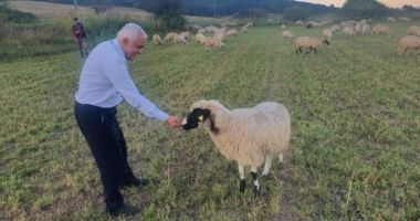 Stire din Economie : Daea: “Fermierii nu vor fi afectați de reducerea cu 20% a prețului la lapte”