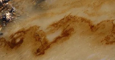 Stire din Social : Alertă ecologică! PATĂ DE PETROL pe Dunăre