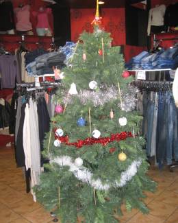 Pe urmele Spiritului Crăciunului în comerțul constănțean - 6