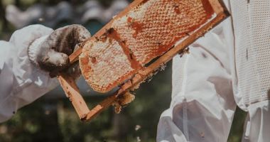 Cum să-ți petreci timpul liber ca o vedetă - 2