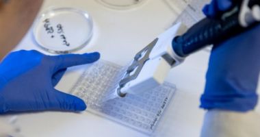 Stire din Social : Pastila anti-COVID-19 de la Pfizer reduce cu 90% spitalizarea și decesul și acționează împotriva Omicron
