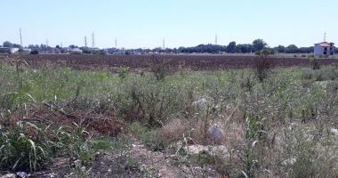 Stelian Ion, USR: Oamenii aceștia au fost înșelați zi de zi de către administrația locală - 7