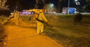 GALERIE FOTO / Acțiune de dezinsecție în orașul Năvodari - 4