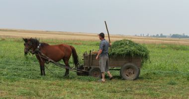 Piața terenurilor agricole nu s-a speriat de COVID -19. Iată prețurile cerute de vânzătorii din județul Constanța! - 2