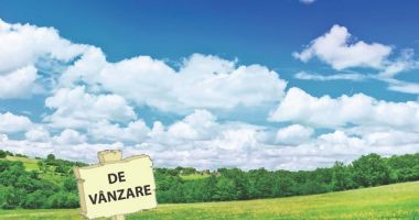 Piața terenurilor agricole e plină de oferte. Pământul se vinde și cu 10 bani metrul pătrat - 2