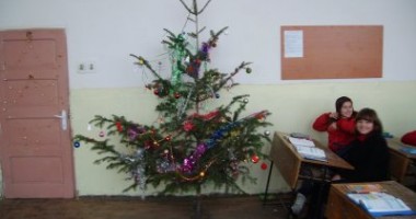 Stire din Cultură-Educație : Crăciunul în clasa mea