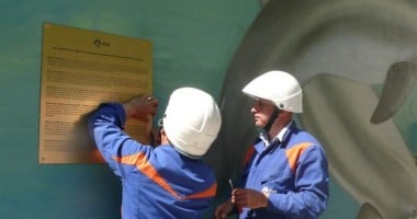 Animale și plante pe cale de dispariție, pictate pe postul de transformare Enel de la Delfinariu - 2