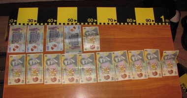 UPDATE / Pistoale, săbii și zeci de mii de lei găsite la contrabandiștii de țigări – GALERIE FOTO - 12