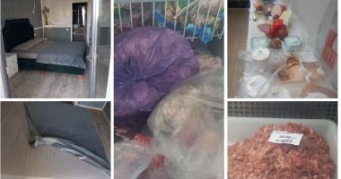 Stire din Social : Piedone face ravagii pe litoral, înainte de 1 Mai. Zeci de locații de la malul mării au fost controlate