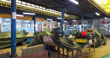 Situaţie disperată în pieţe! Producătorii nu vor să-şi vândă marfa în stradă - 5