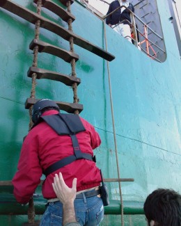 Piloții maritimi au nevoie de scări sigure pentru accesul la bordul navelor - 2
