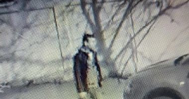 Stire din Eveniment : PRIMELE IMAGINI / Polițiștii îl caută în continuare pe cel care a incendiat opt mașini