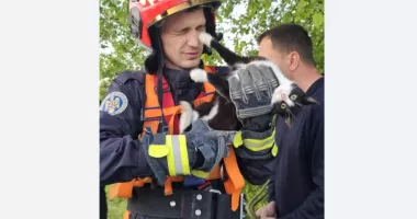Stire din Eveniment : Salvare spectaculoasă cu final fericit. Pompierii au scos o pisică blocată într-o fântână