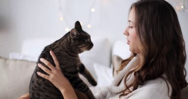 Stire din Sănătate : Când devine periculos părul de pisică