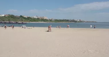 Diana Buzoianu vrea copaci pe plajele lărgite. „Vrem un turism de calitate”