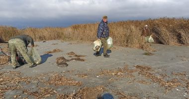 Stire din Social : Zona plajei Sulina, revitalizată. Au fost colectați peste 100 de saci de gunoi