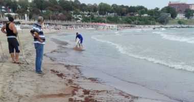 Poluare cu păcură,  pe plaja din Mangalia - 2