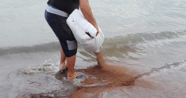 Poluare cu păcură,  pe plaja din Mangalia - 4