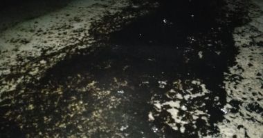 Poluare cu păcură,  pe plaja din Mangalia - 5