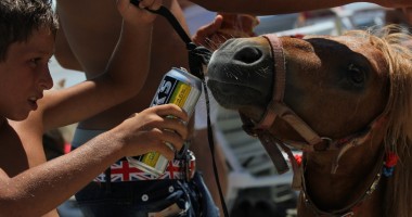 Instantaneul zilei: Cum își potolesc poneii setea pe caniculă