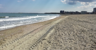 Pregătiri pentru sezon! Cum au ieșit plajele din iarna cea grea - 7