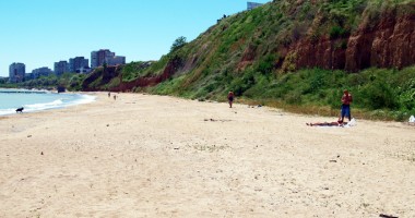 Sălbăticie pe plajele neînchiriate de pe litoral - 2