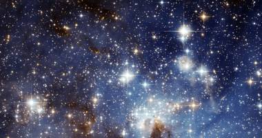 Stire din Cultură-Educație : Ploaia de stele.  Planetariul vă dezvăluie misterele cerului