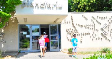 Spectacole cu delfini și observații astronomice pe timpul zilei - 2