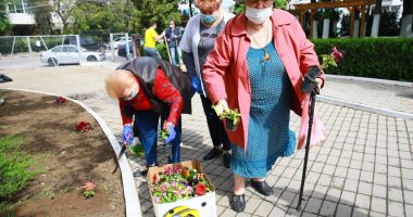 Stire din Social : Căminul de bătrâni a fost înfrumuseţat cu flori
