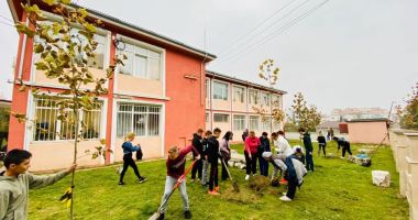 Stire din Social : Elevii, tot mai implicați! Sute de copaci, plantați la Năvodari