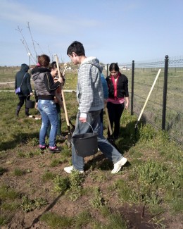 Stire din Politică-Administrație : Tinerii din PSD Cumpăna au plantat copaci în localitate