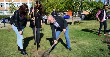 Parcul de la Casa de Cultură, îngrijit de elevii de la liceele de Artă și Telecomunicații și studenții de la "Șaguna" - 5